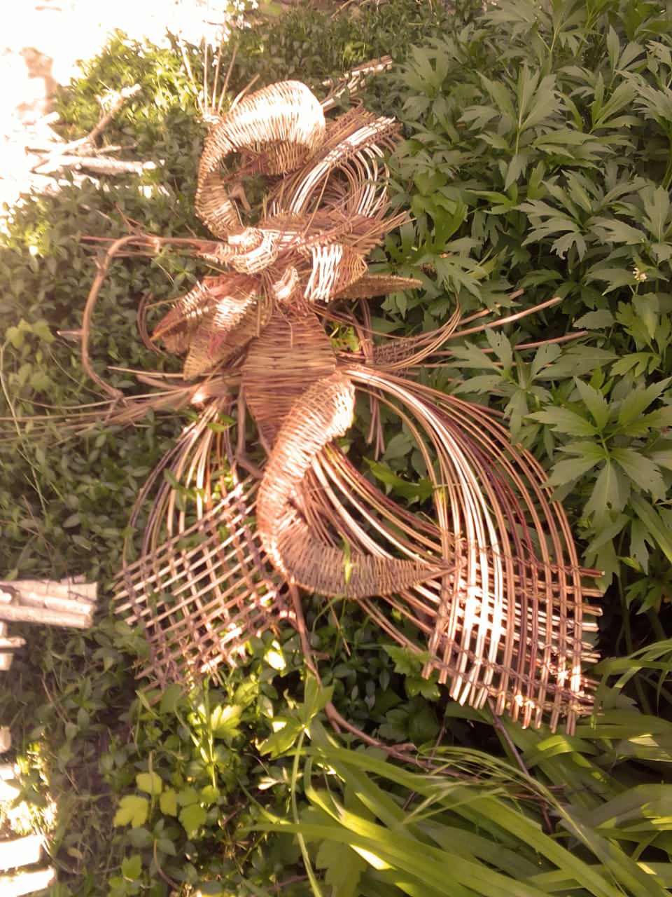 Фитофантазия 5