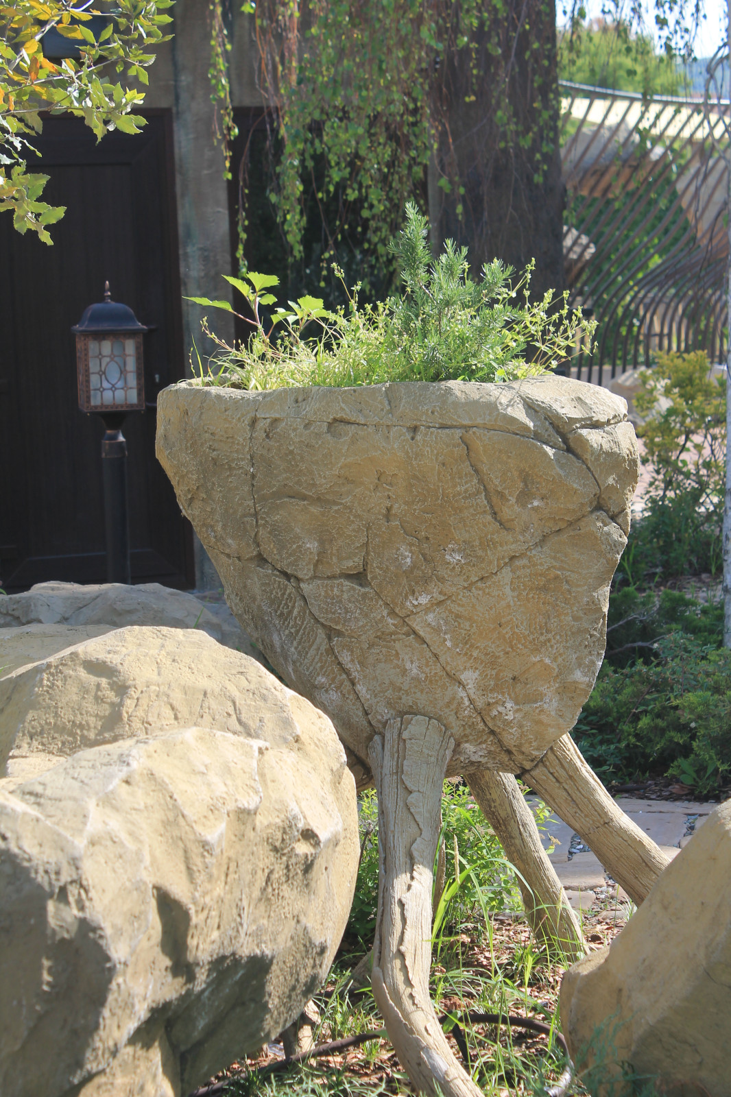 Парк аттракционов "Сочи парк"