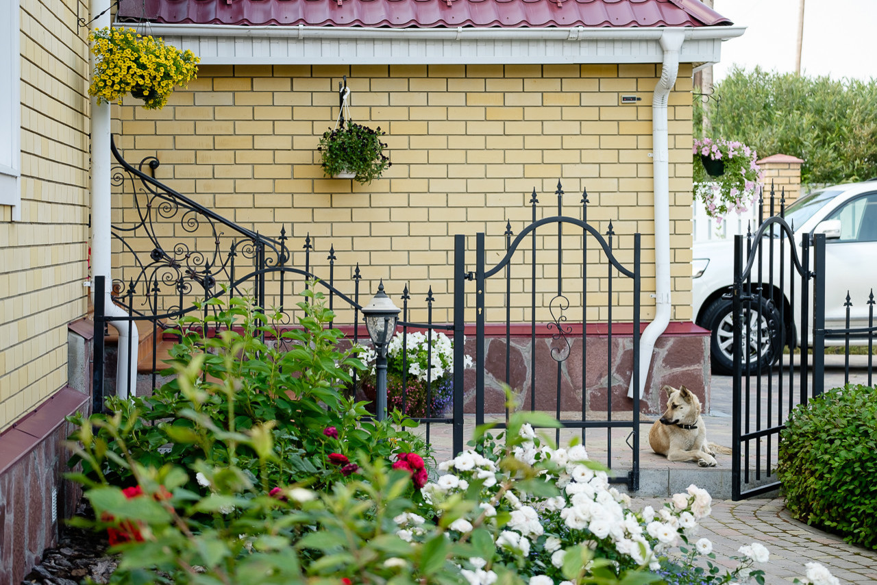 Сад с зеленой крышей