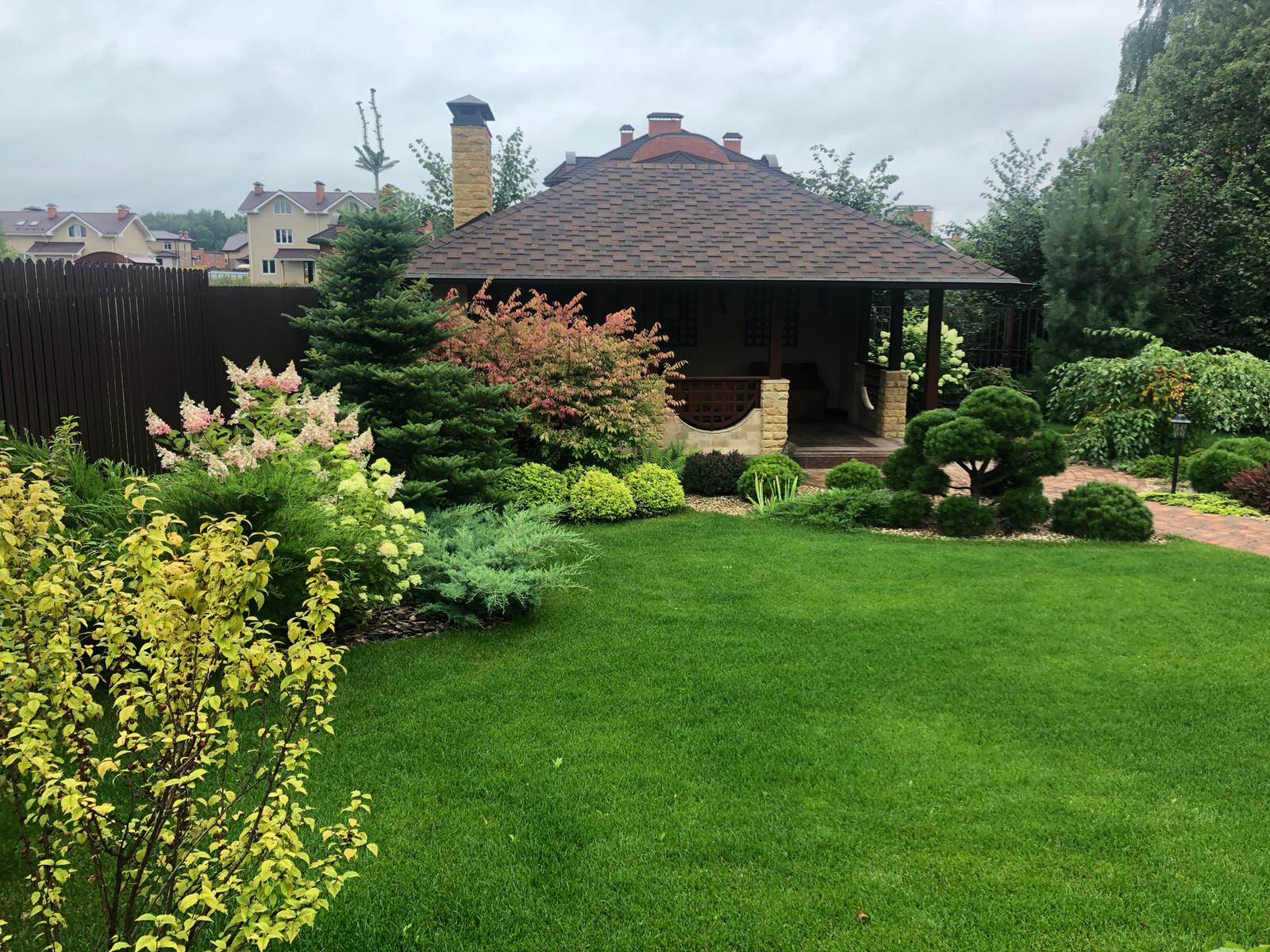 Укладка газона