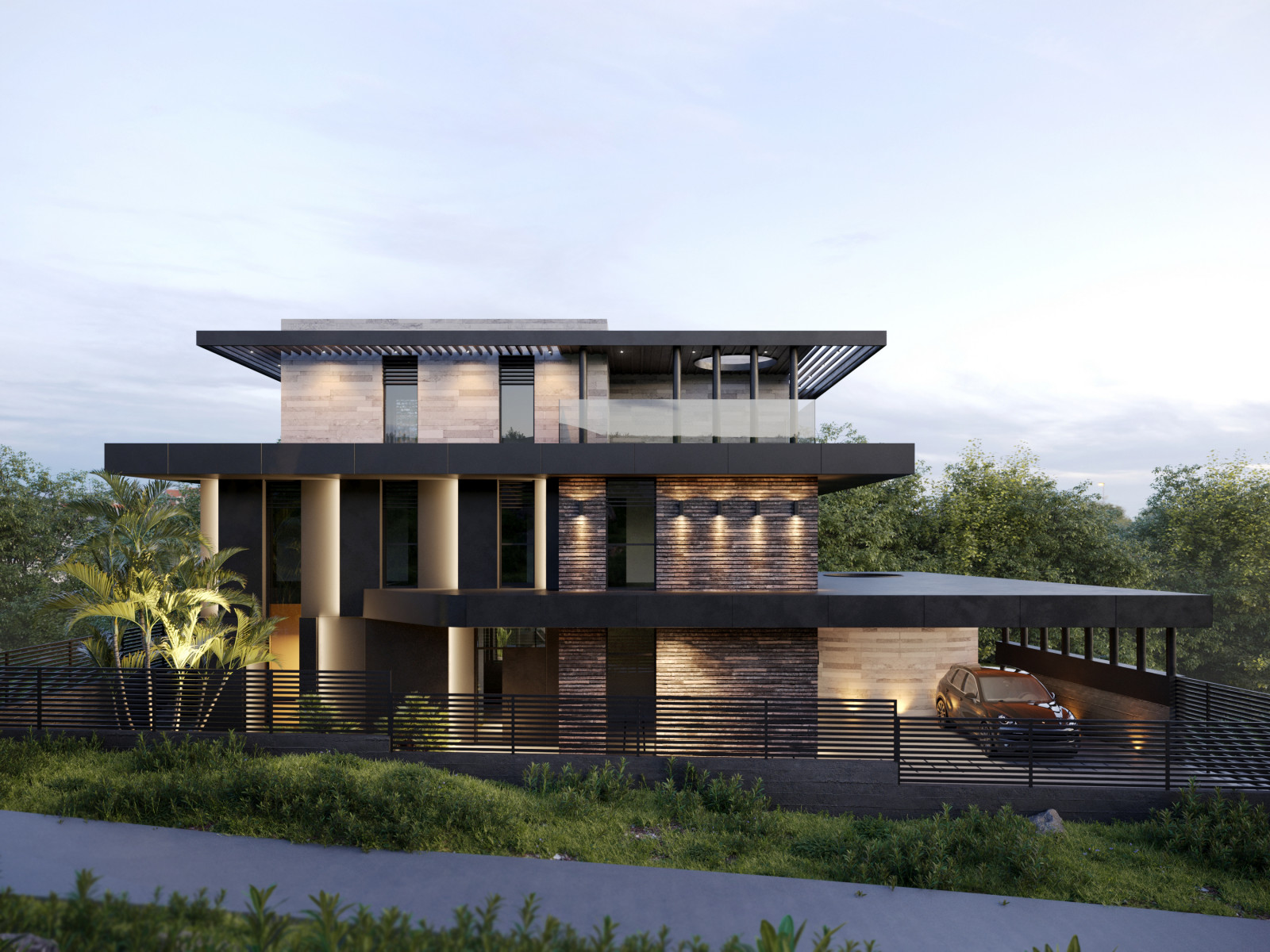 Темная Акация