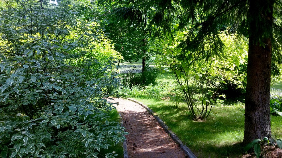 Садовая тропинка в теневой части сада