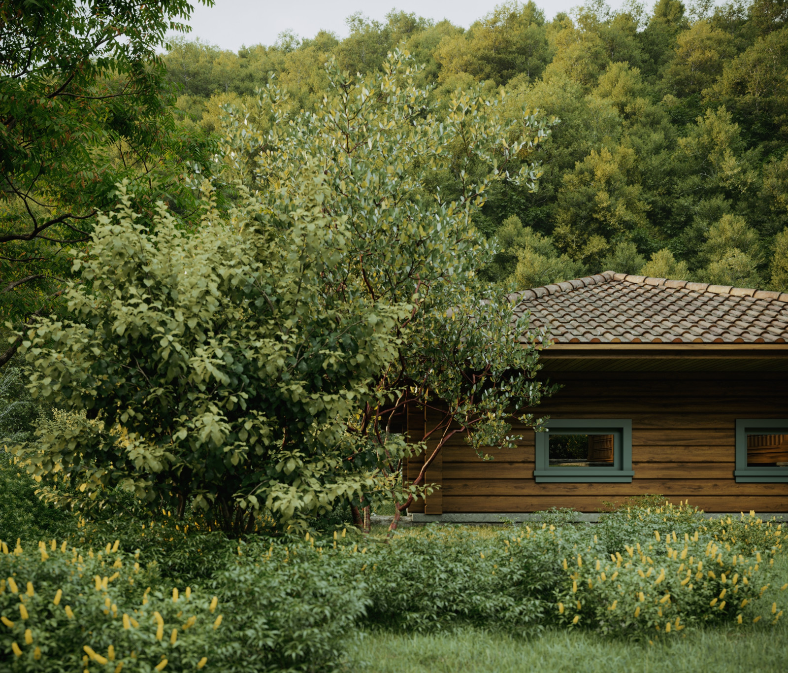 Дом в Грузии