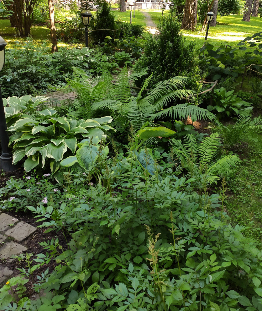 Проект "Форест"