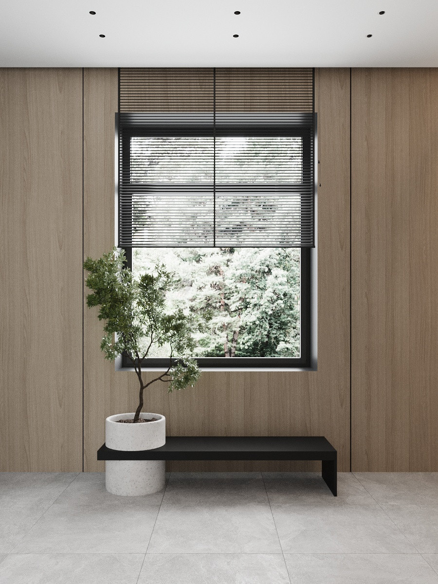 Частный дом, Москва