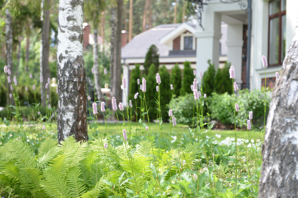 Новогорск 2021