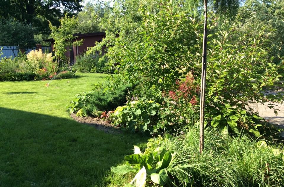 САДИК НА ЛАДОШКЕ 2016