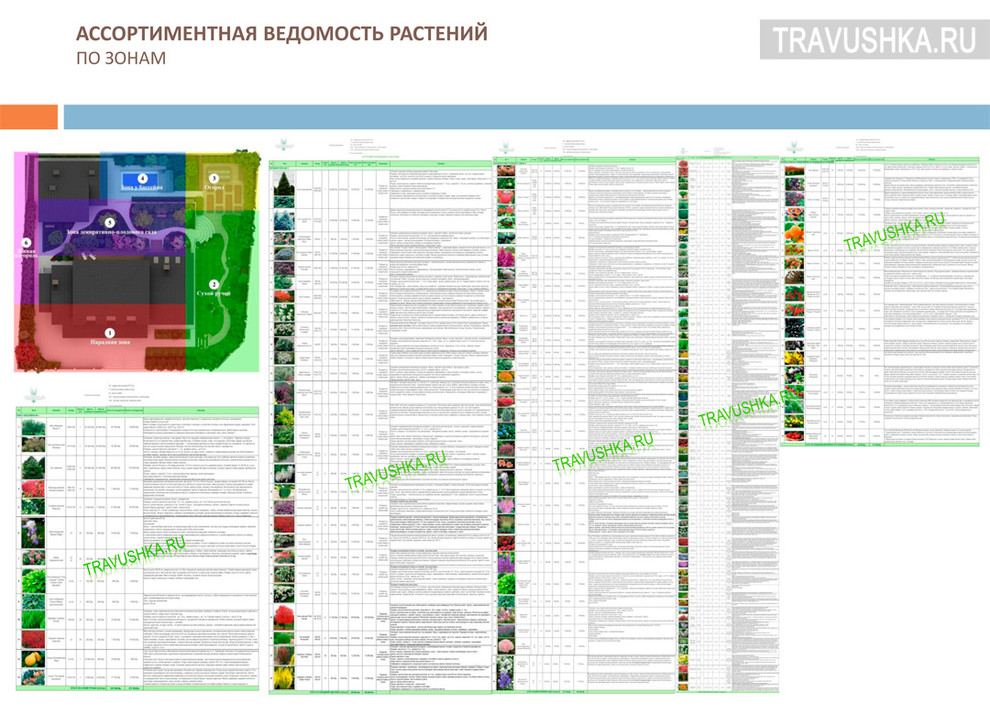 Пример ассортиментной ведомости растений