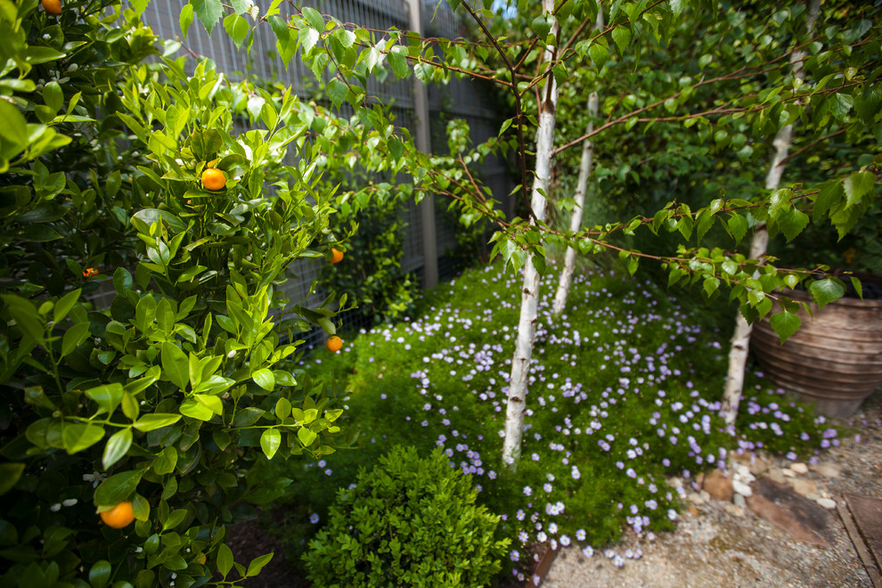 Хороший вопрос: Как избавиться от сорняков на даче навсегда