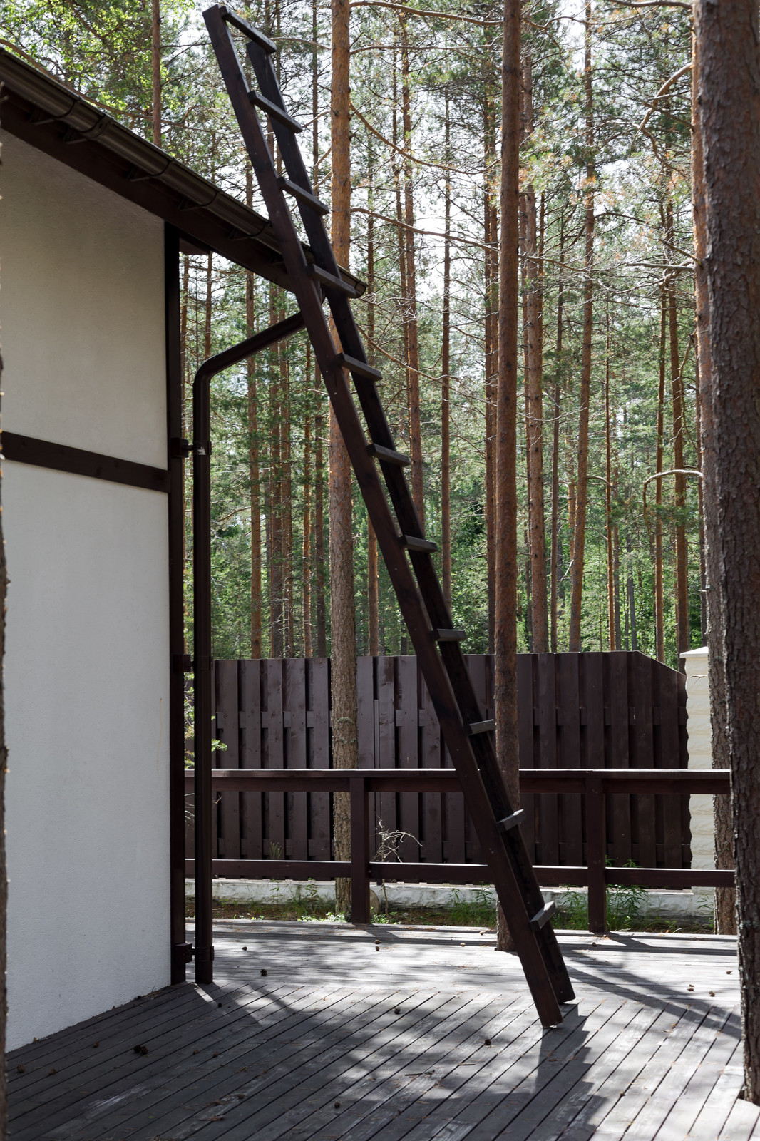 Стеклянный дом в лесу