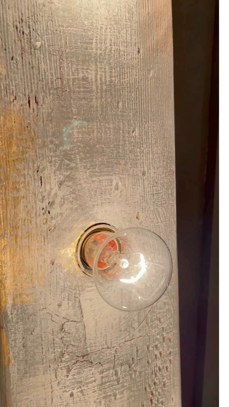 Обложка проекта: Фотостудия "Хвоя"