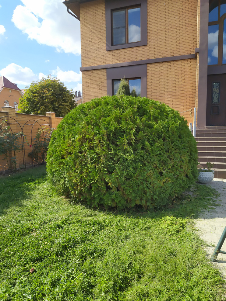 топиарная стрижка в Астрахани и Астраханской области