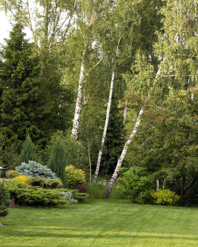 Большой сад для дружной семьи