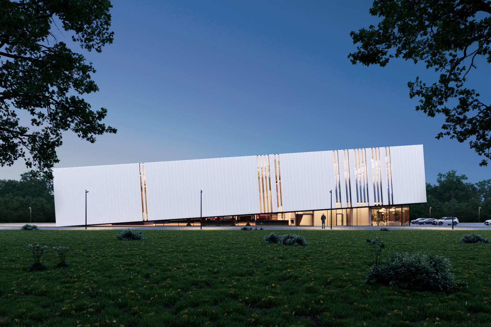 Центр Бокса