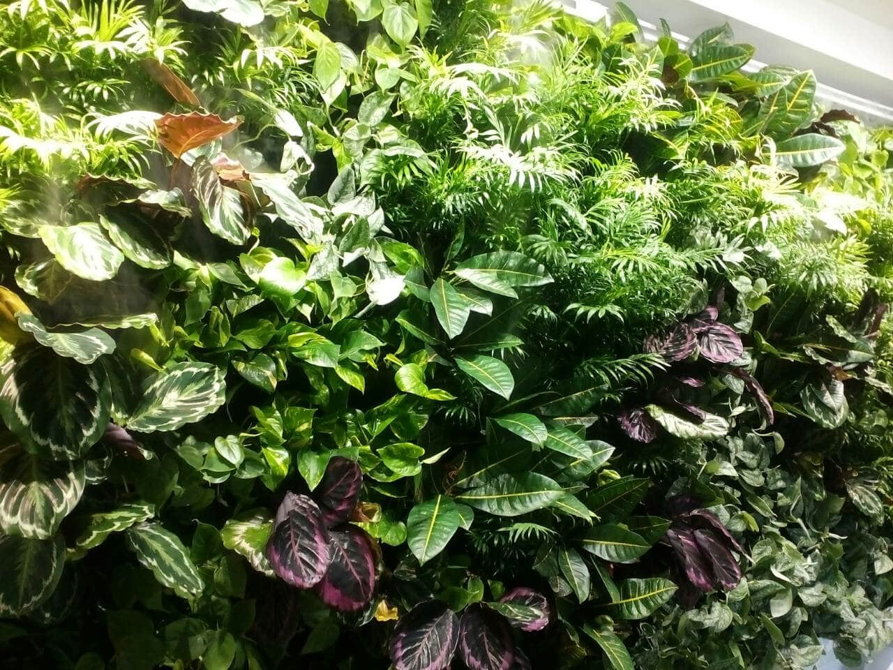 Частный 3-х этажный дом