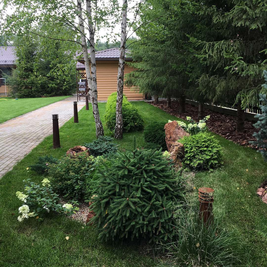 Сад на Новой Риге