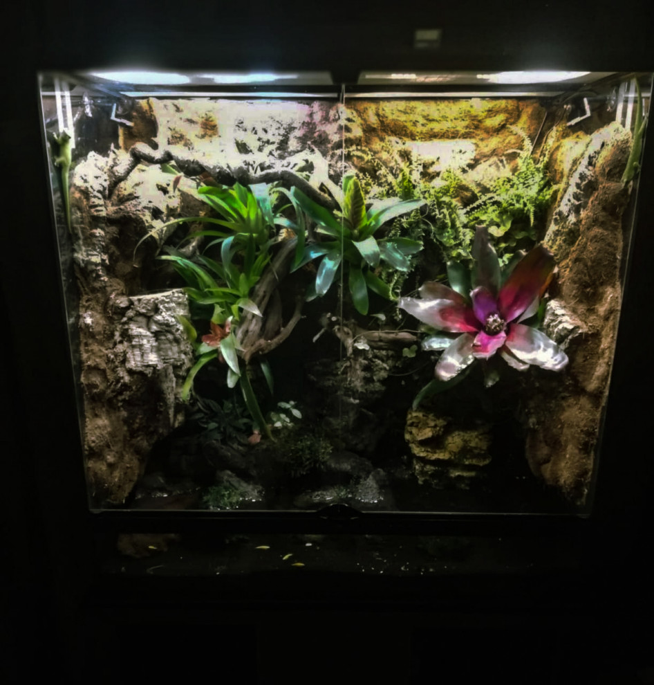 Флорариумы