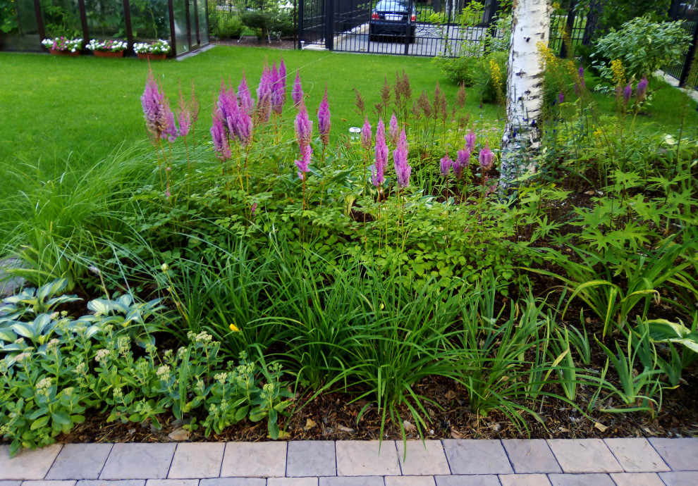 Цветники под пологом леса