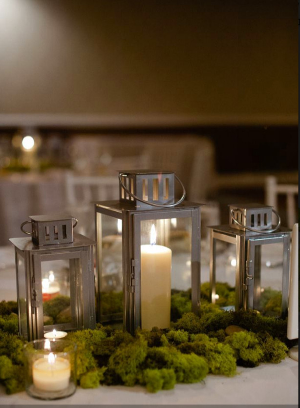 Мох в интерьере