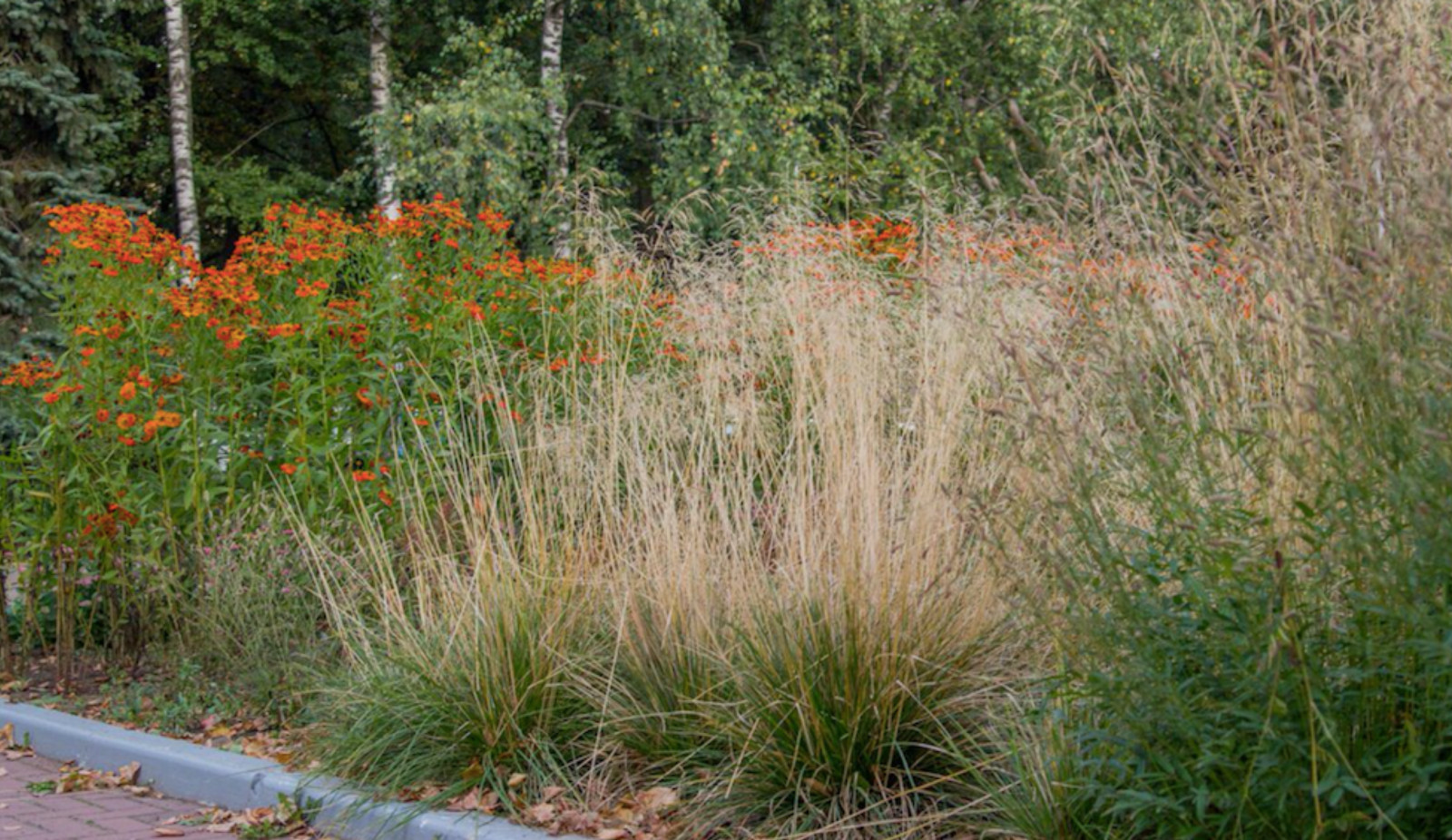 Сквер им. Чапаева в Чебоксарах