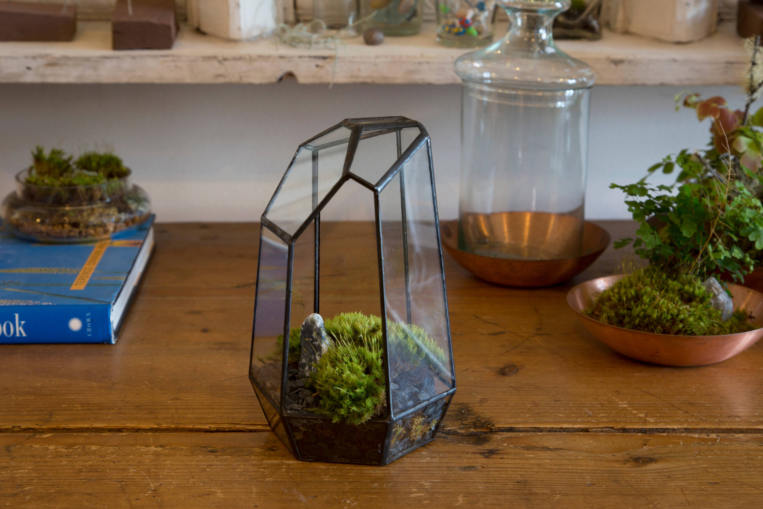 Мир дизайна: Натуральный мох и как его использовать