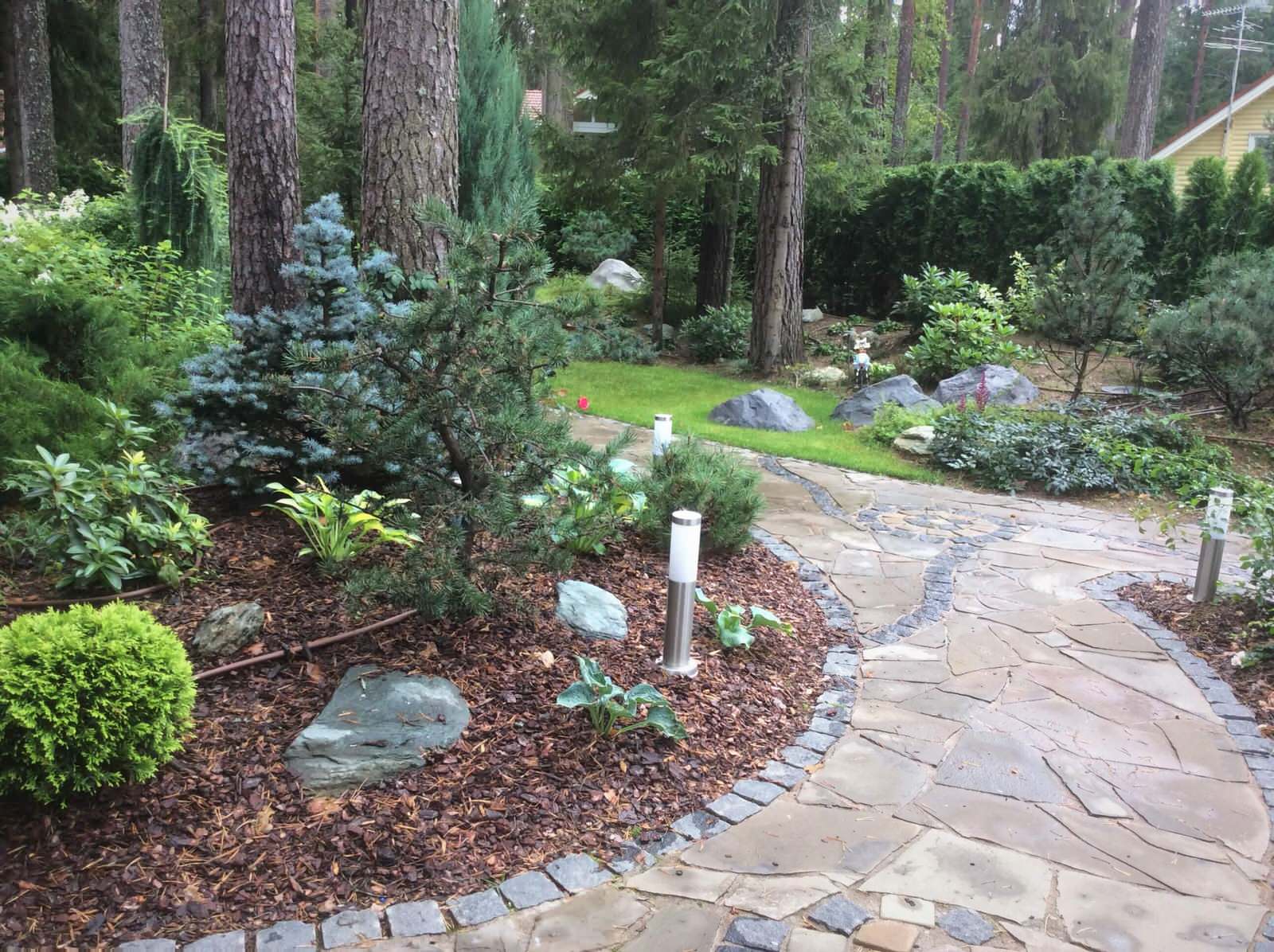 ШЕРВУДСКИЙ ЛЕС