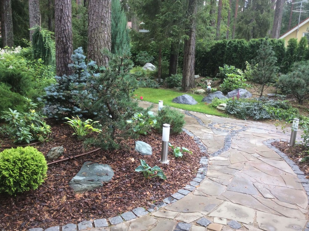 ШЕРВУДСКИЙ ЛЕС