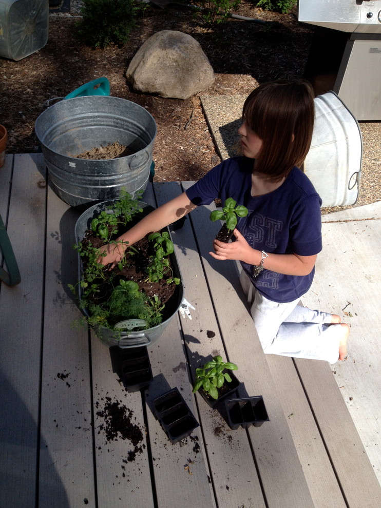 Для новичков: Когда сеять семена на рассаду — гид по месяцам