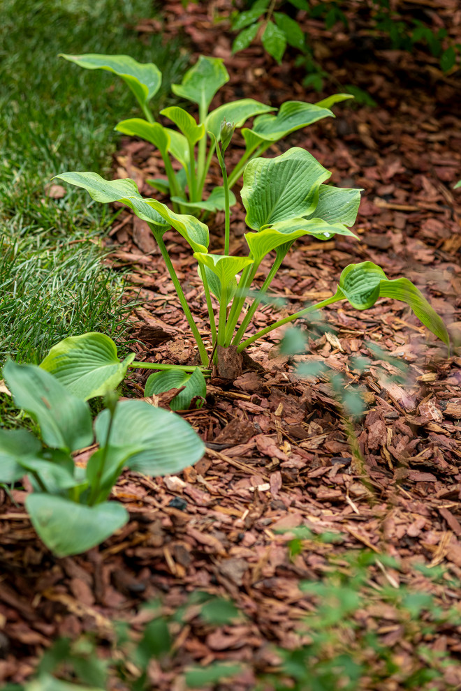 Современный хуторок у Наташи Королевой