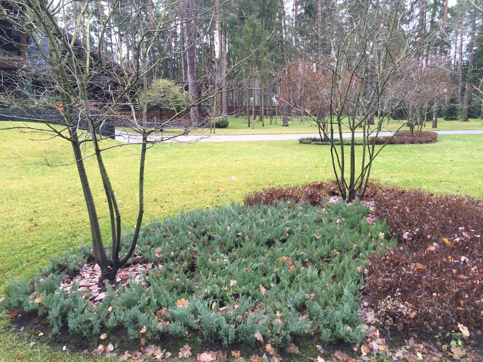 Сосновый бор