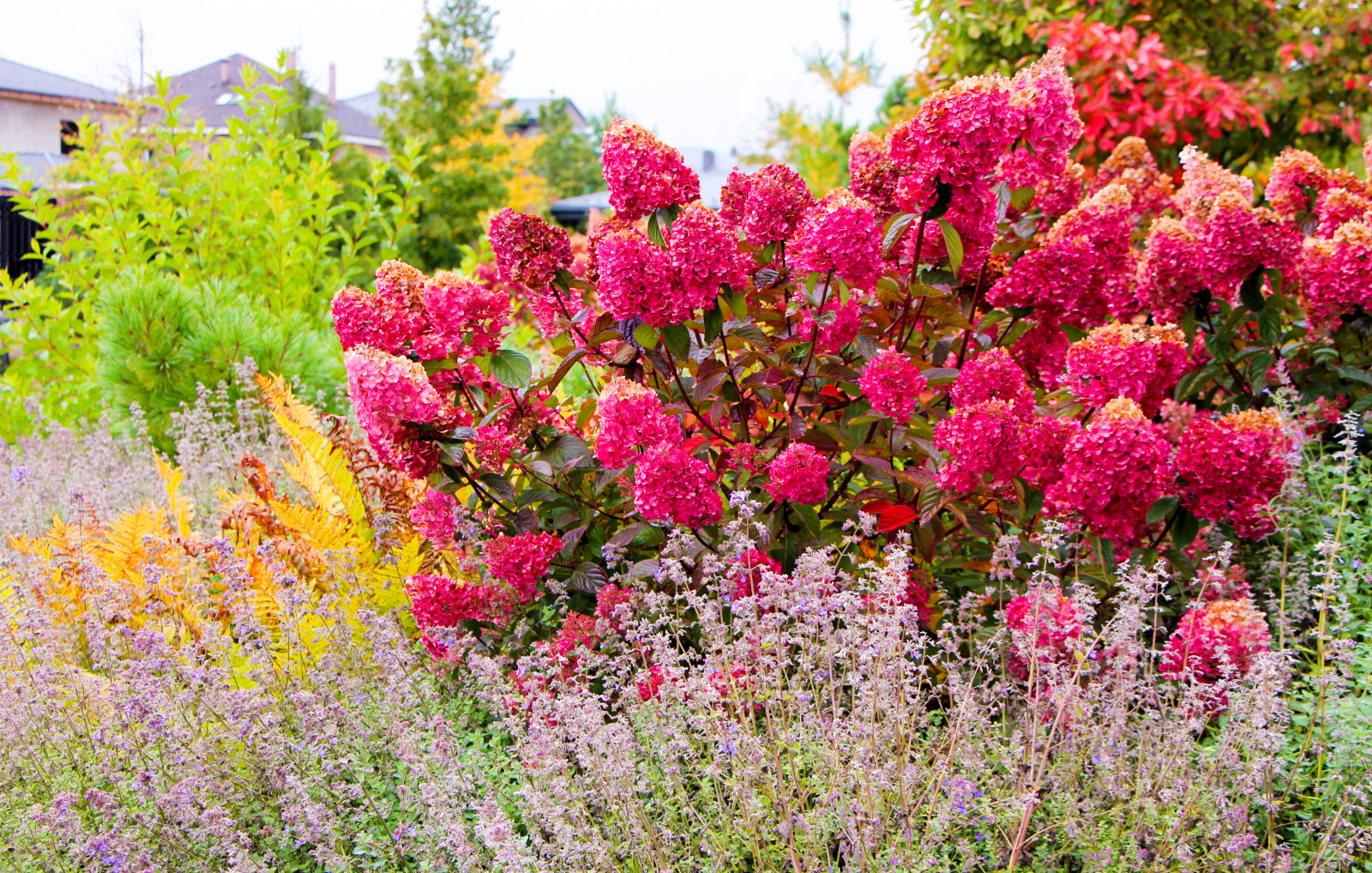 Горки-10, 2017-2020 г.г.