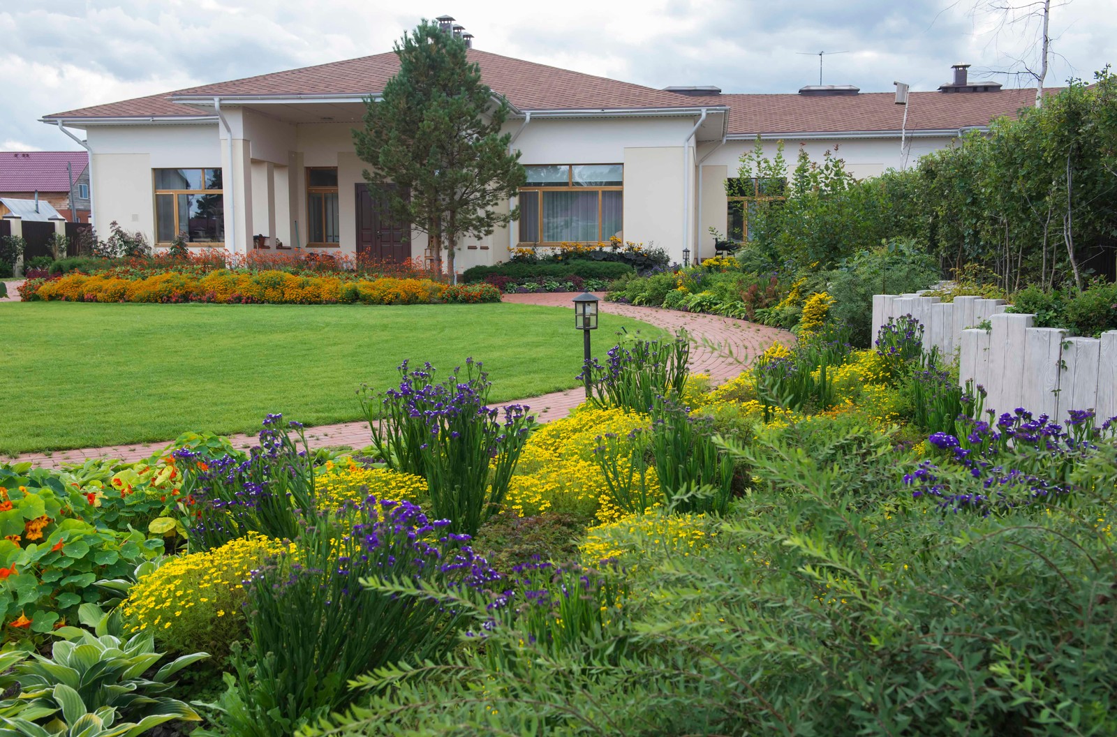 Цветники из однолетников