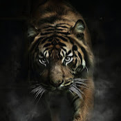 Хакимов Мухаммад