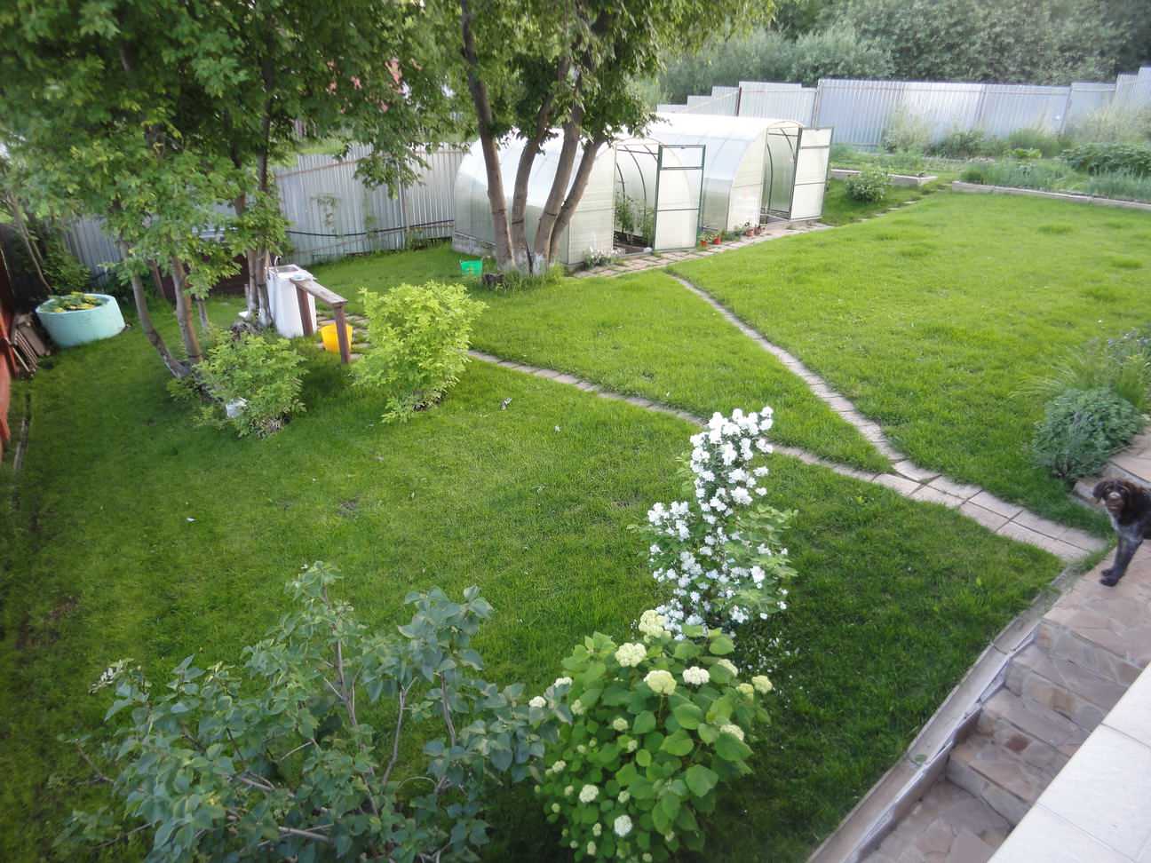 СадовникЪ - ваш придворный компаньон