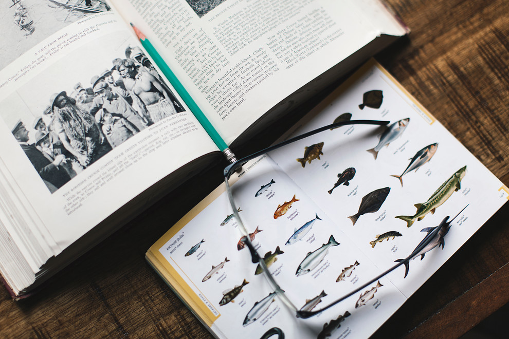 Павел/ Звенигород