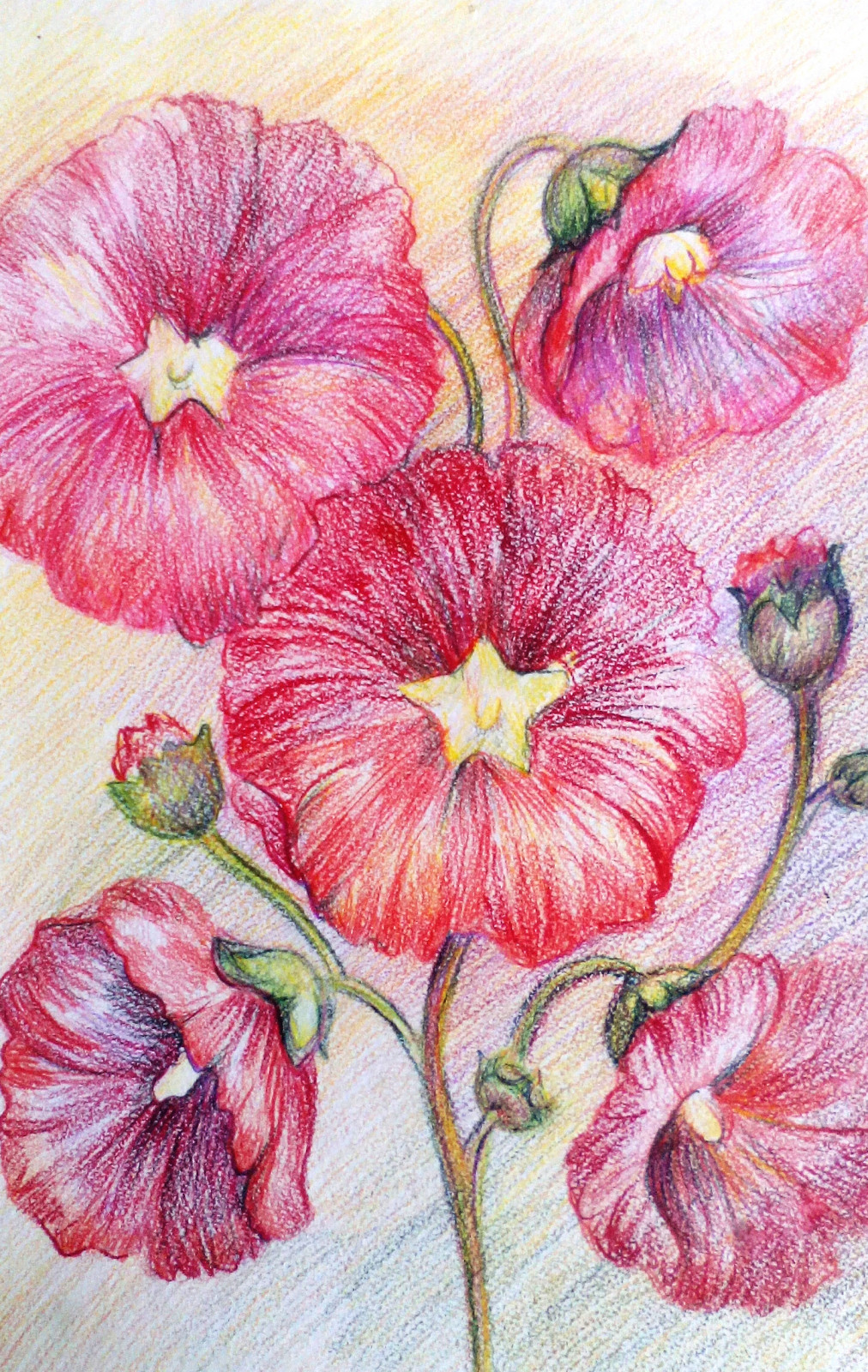 Ольга Сивакова