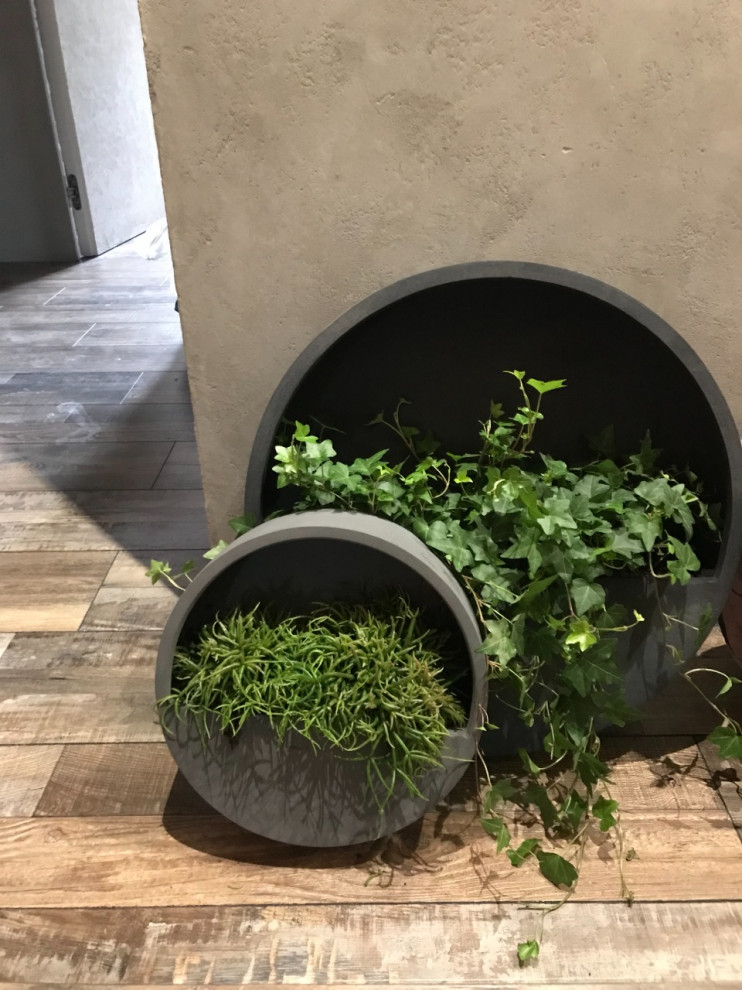 Озеленение частной квартиры