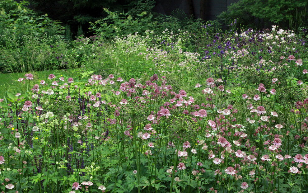 Сад в Серебрянном Бору