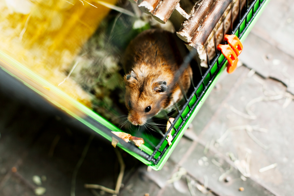 Психология: 4 вопроса, которые помогут найти «своего» дизайнера