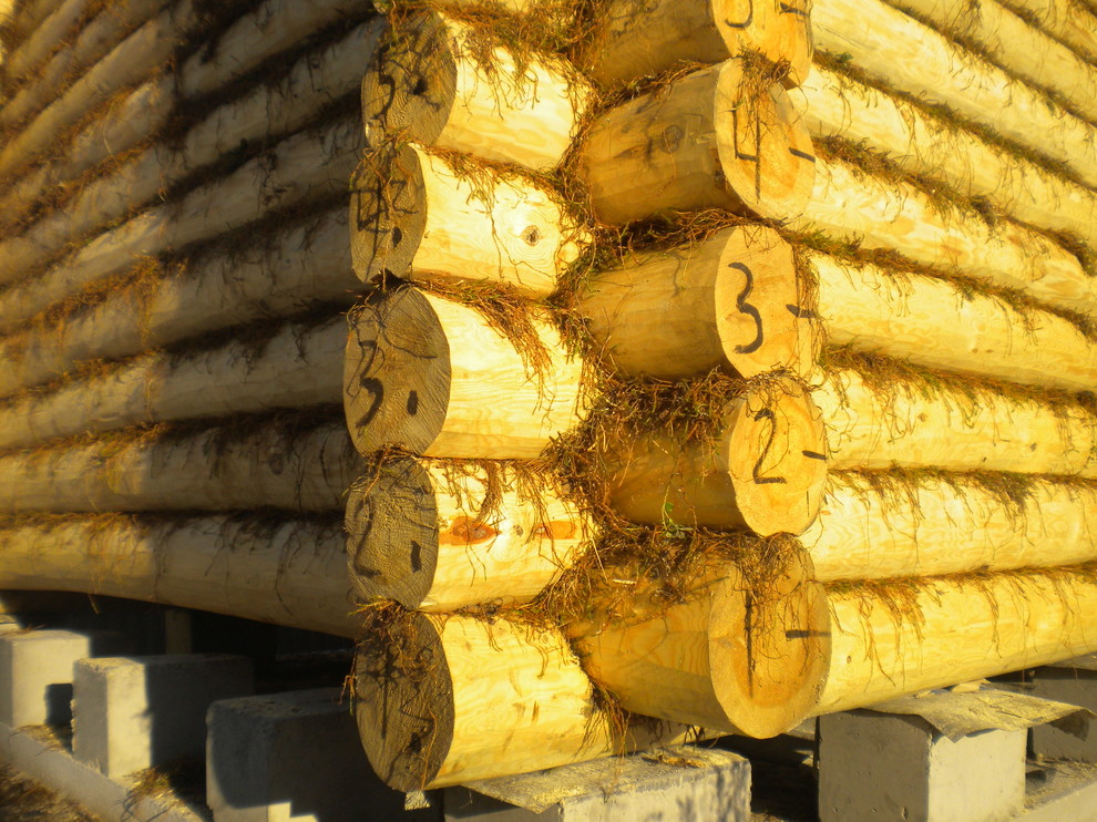 Баня из бревна