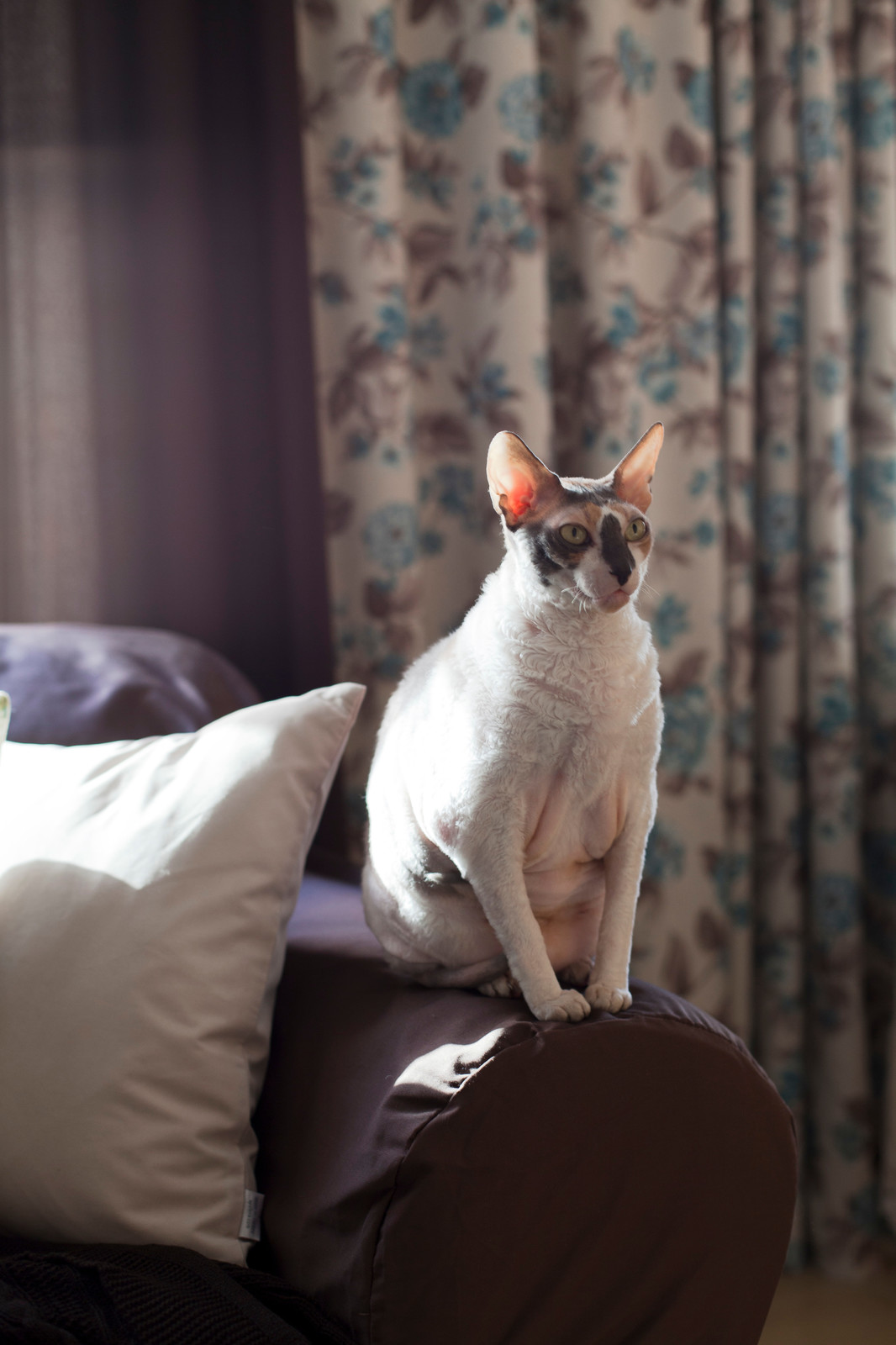 В гостях: Уютная квартира на Октябрьском поле