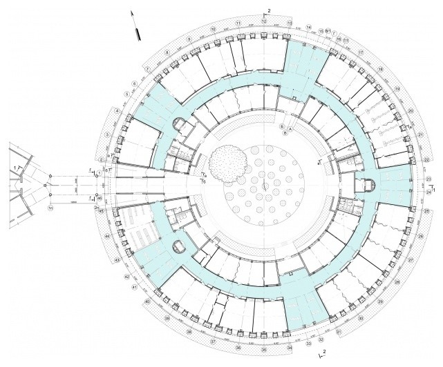 "Сириус" школа для одаренных детей