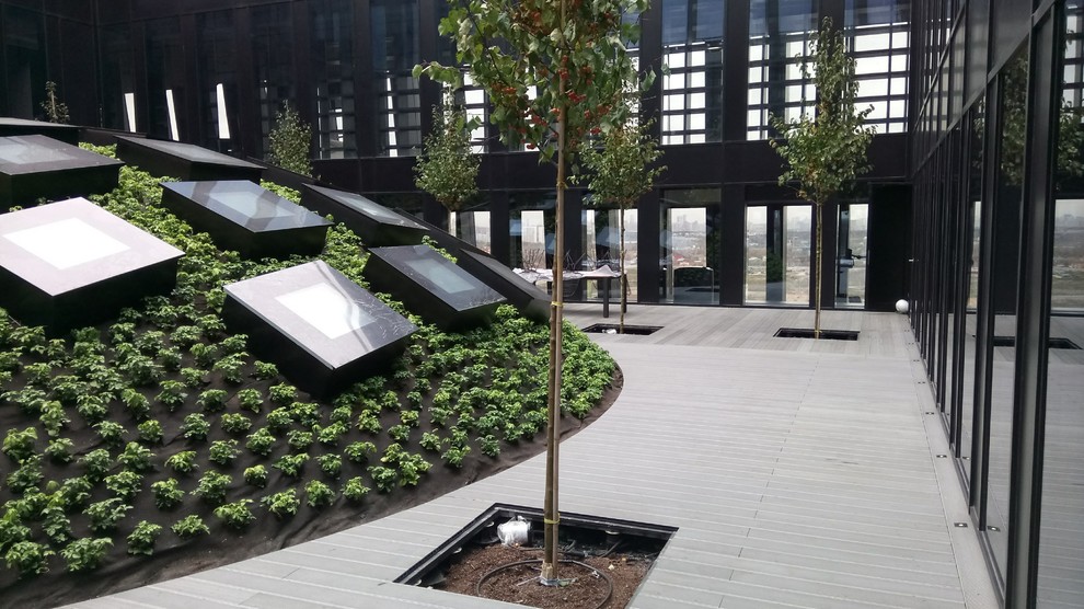 Зеленые кровли. Green roof