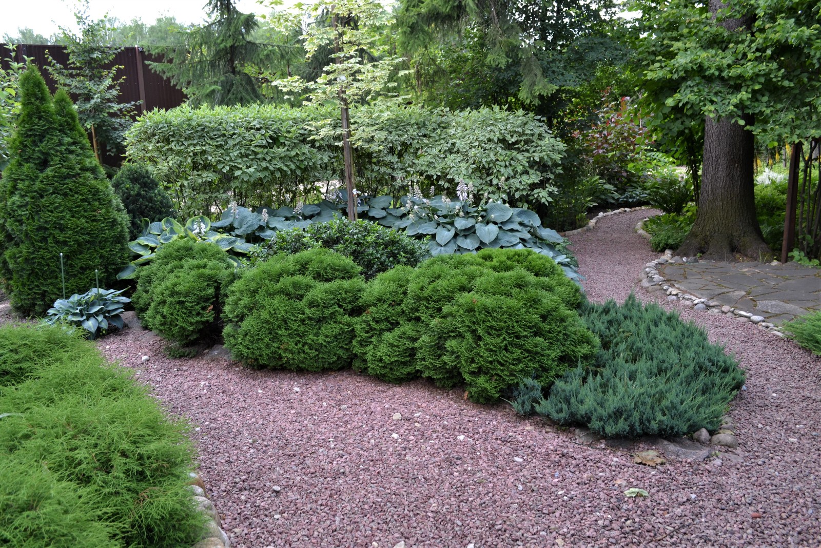 Клуб владельцев частных садов "Цветущая Планета". Сад в лесу и теневые цветники.