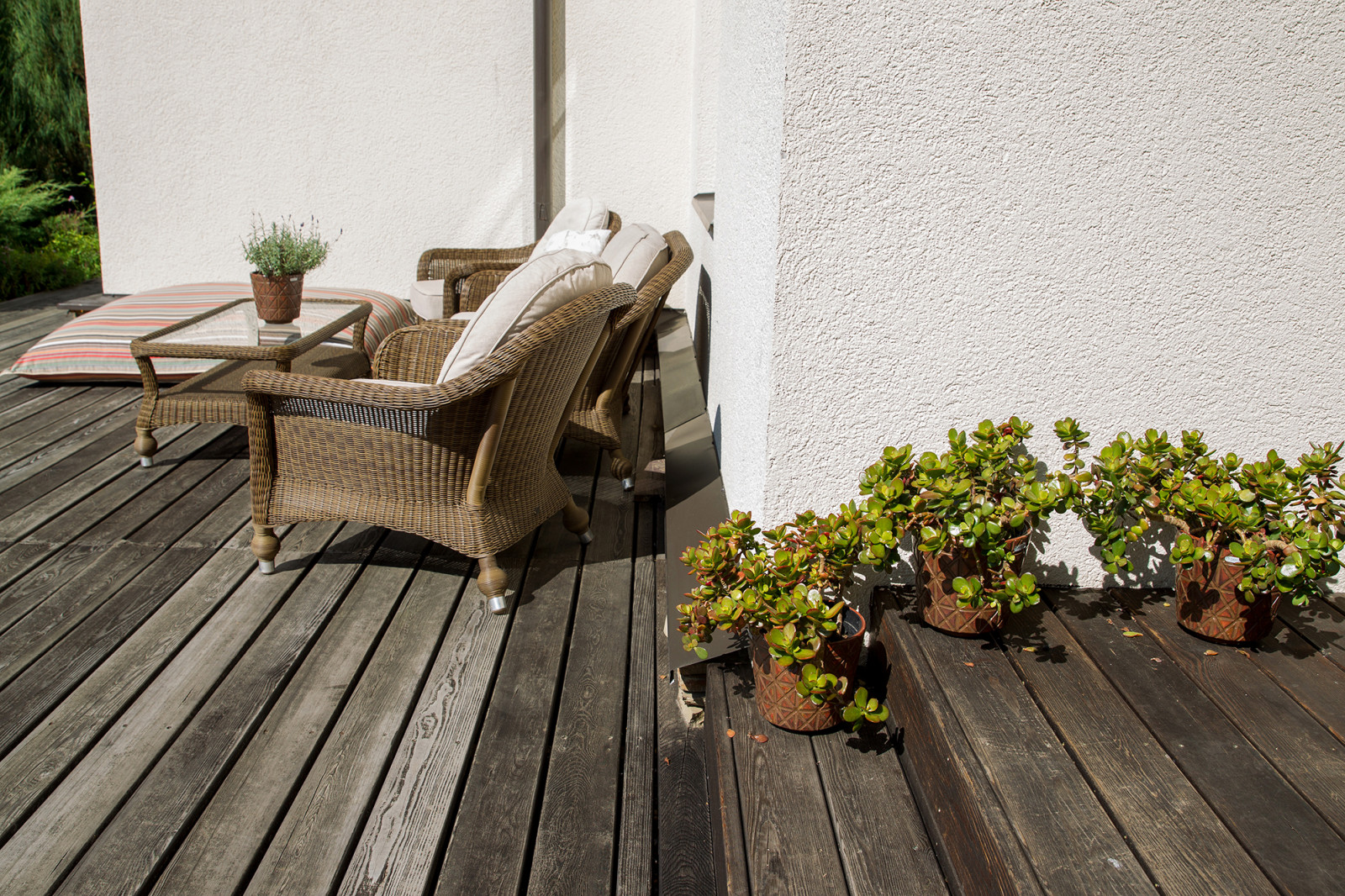 Garden of Elena Astashkina in Moscow Region