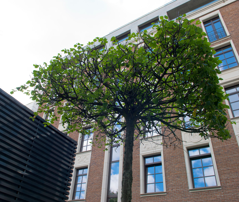 Геометрия в саду