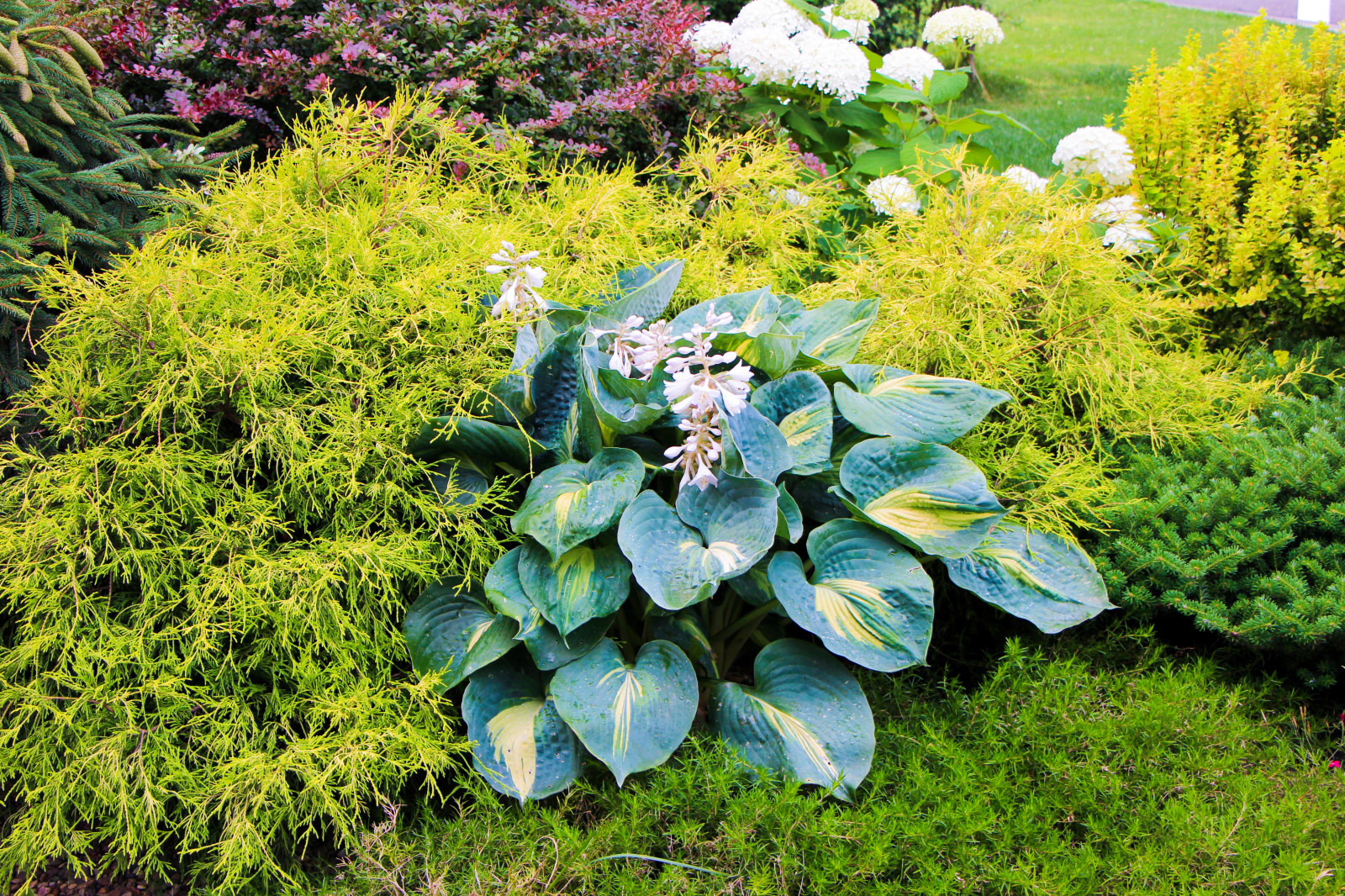 Новые Вешки