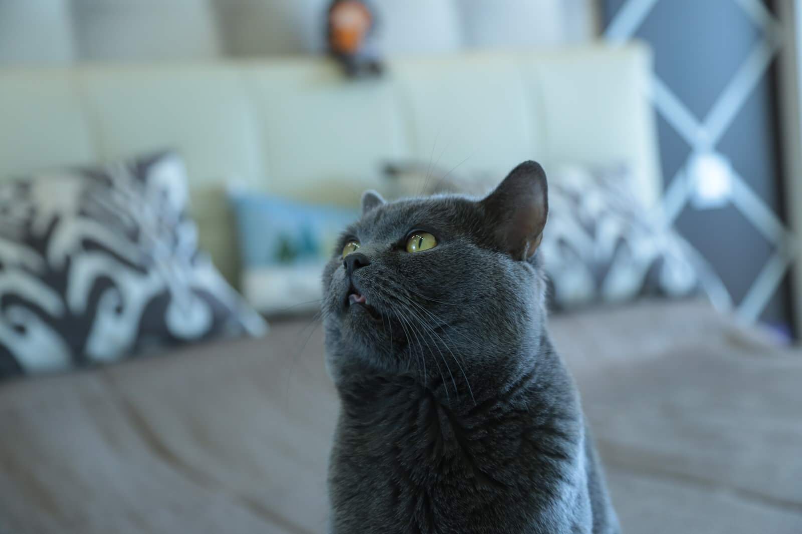 м-н Солнечный, проспект Жукова