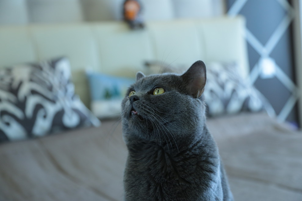 м-н Солнечный, проспект Жукова