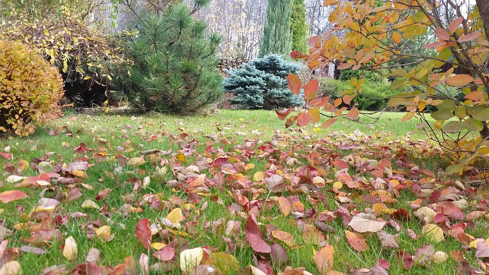 Ландшафтный проект 5